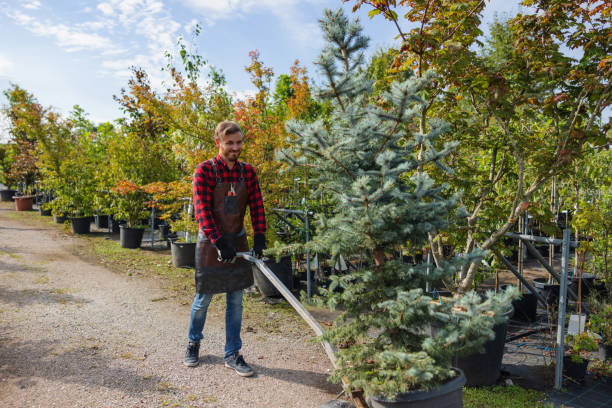 Best Tree Trimming Near Me  in Bothell West, WA